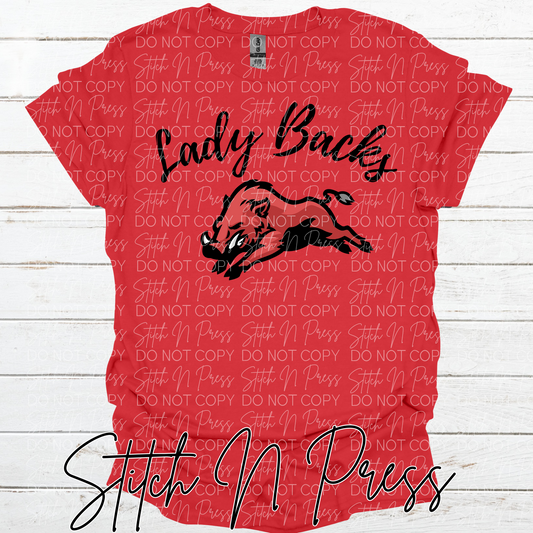 LADY BACKS SOFTBALL 2026